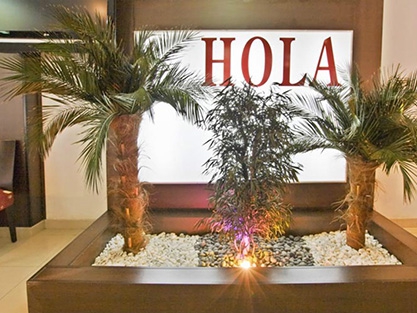 hola-oliva-500
