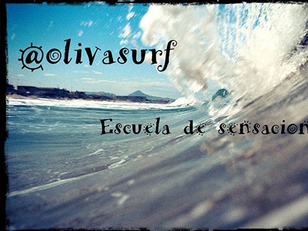 oliva-surf-4-500