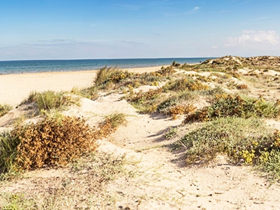 rabdeels-playa-500 rabdeels-playa-500