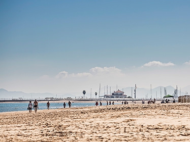 Portada-Terranova-500