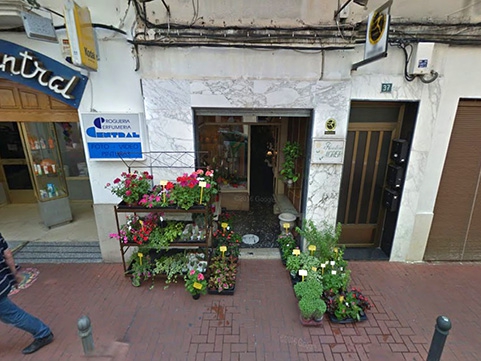 floristeria-morera-500