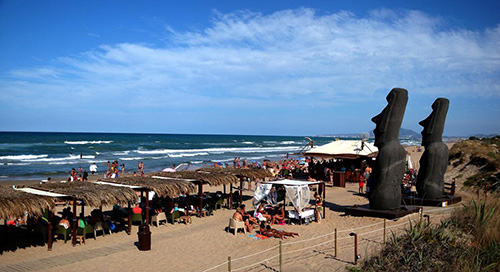 olibaba-500 olibaba-500